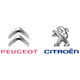 Аналог Citroen/Peugeot 1109CG