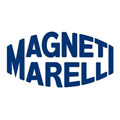 Аналог Magneti Marelli 152071758833