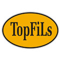 Аналог TopFiLs FC184